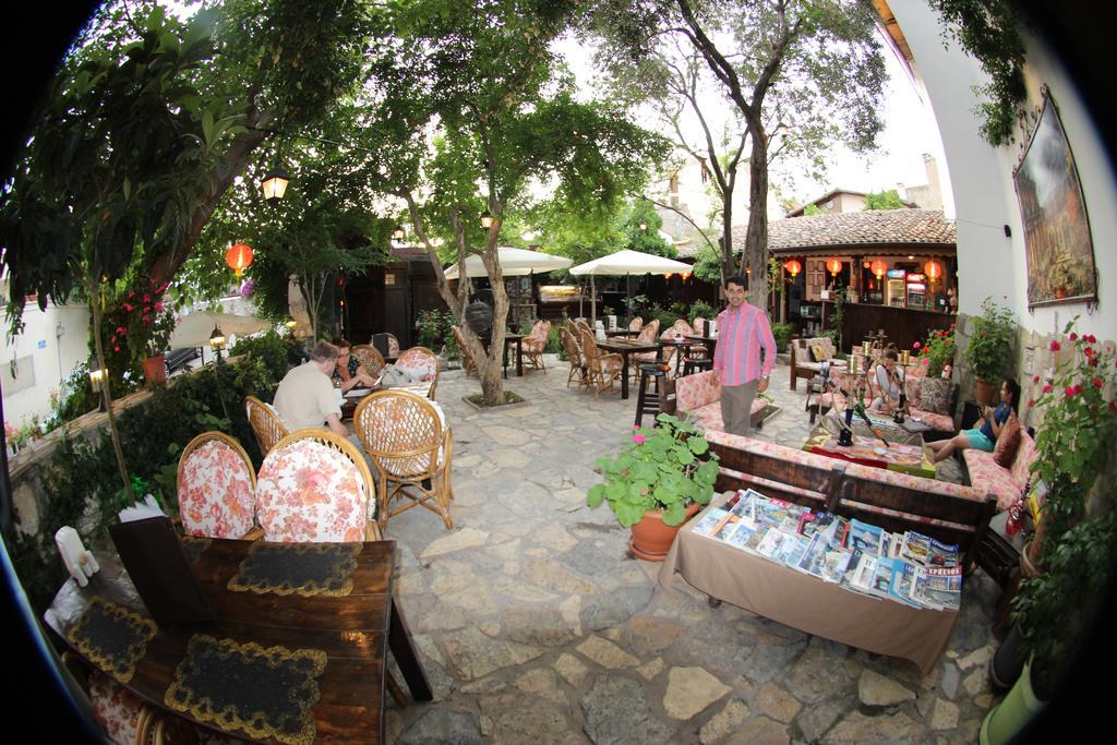 Boomerang Guest House Selçuk Kültér fotó